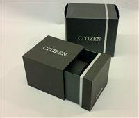 Orologio Citizen Donna Supertitanio Eco-Drive in Titanio FE7020-85H - FE7020-85H